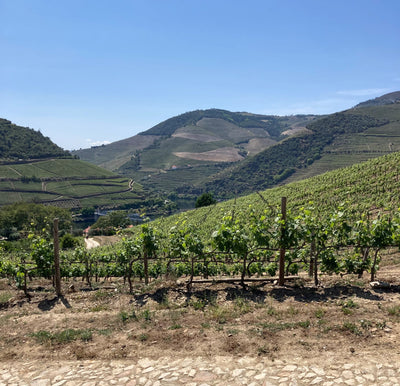 Demystifying the Douro ... the valley and its secrets