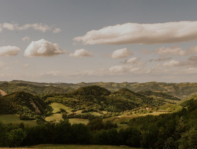 Focus on: Modigliana - the Italian terroir you need to know