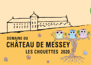 Macon-Villages 'Les Chouettes', Chateau de Messey 2022