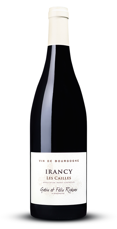 Irancy Les Cailles Domaine Richoux, Burgundy 2021