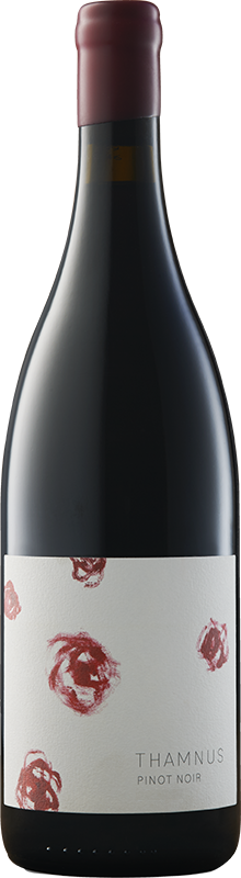 Pinot Noir Thamnus 2022