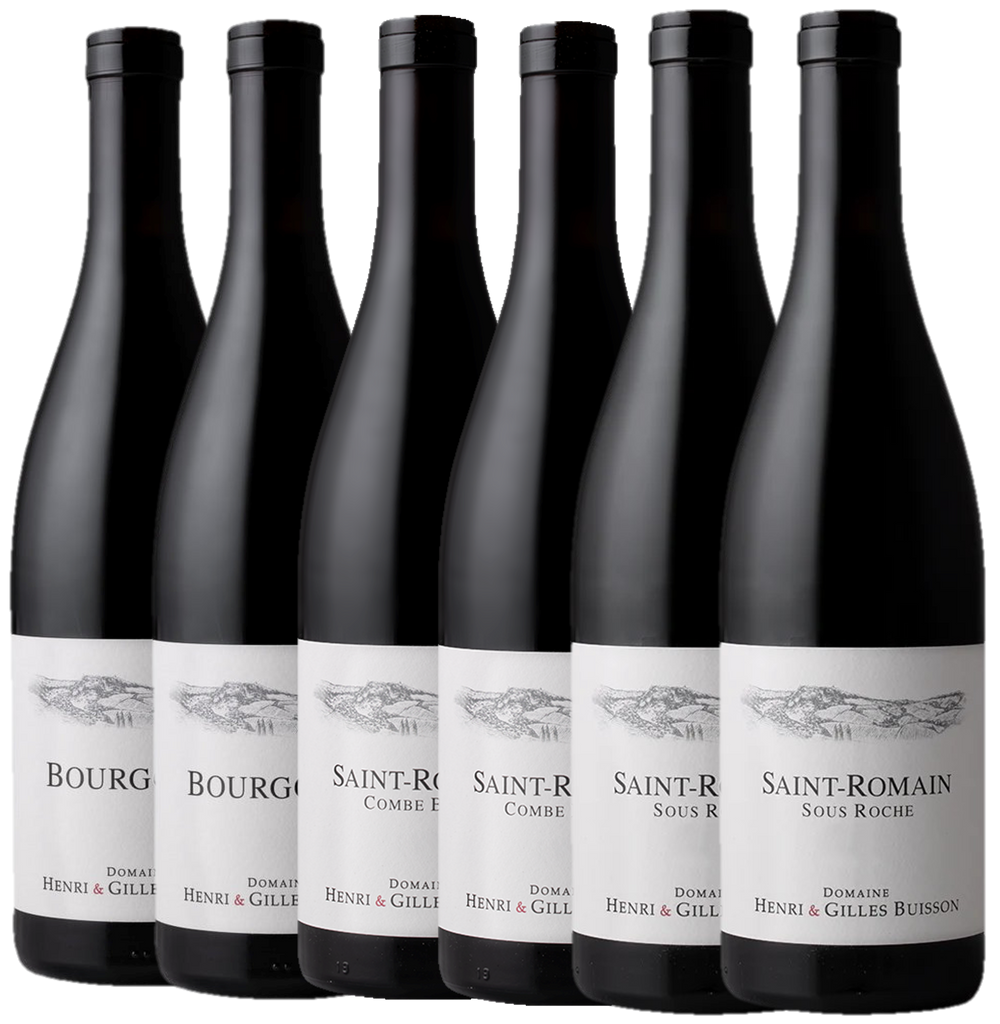 Domaine Buisson Red Burgundy Half Dozen mixed case (2020 highlight)