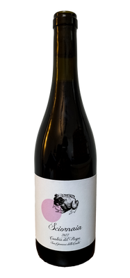 Sciornaia Cantina del Rospo 2022