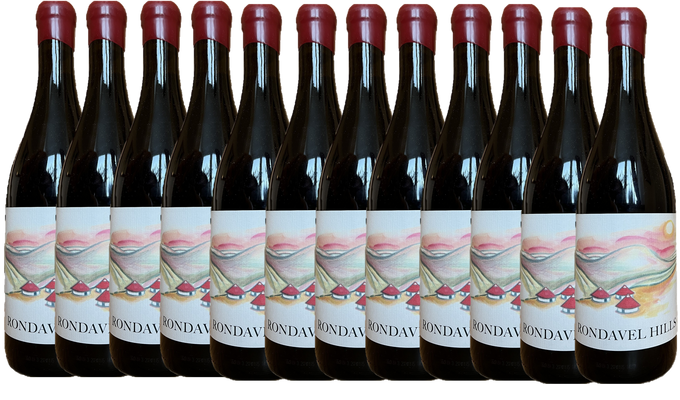 Rondavel Hills Syrah 2024 Dozen