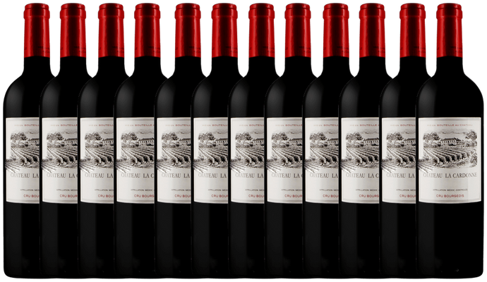 Chateau La Cardonne 2019 12 Bottle Case