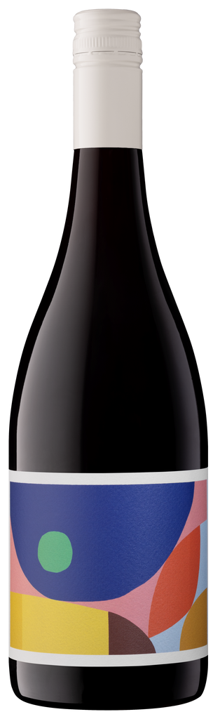 Kin Shiraz Alkina 2023
