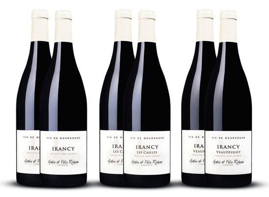 Irancy Domaine Richoux Mixed Six