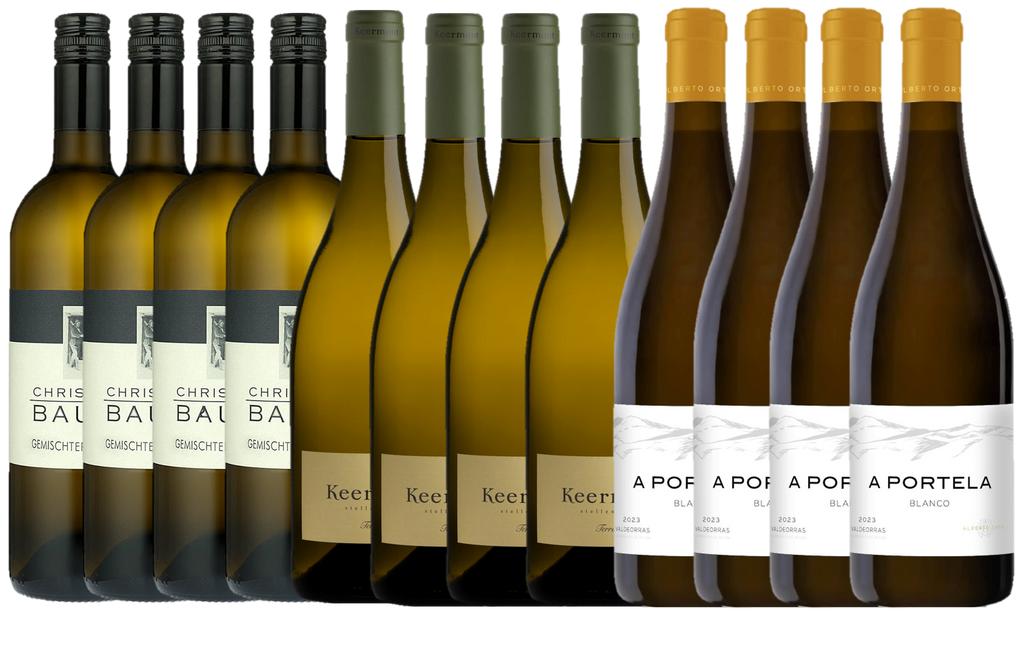 Jancis Robinson's Festive White Recommendation Dozen