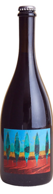 Bergianti No Autoclave Red Lambrusco, Terrevive 2021