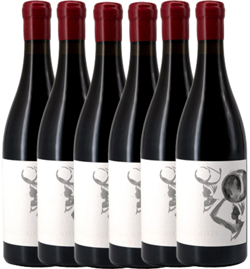 Tembela Wines Syrah 2025 Half Dozen Case