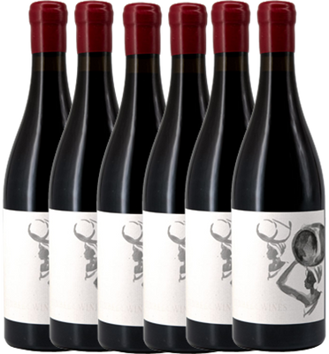 Tembela Wines Syrah 2025 Half Dozen Case