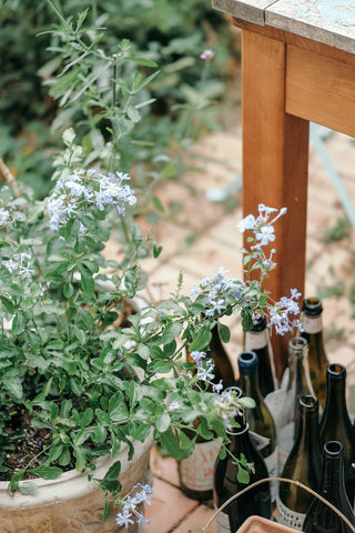 feature-row__image